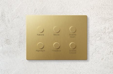 a gold plate with circular buttons